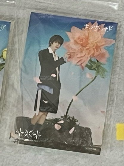 圭貼紙特典