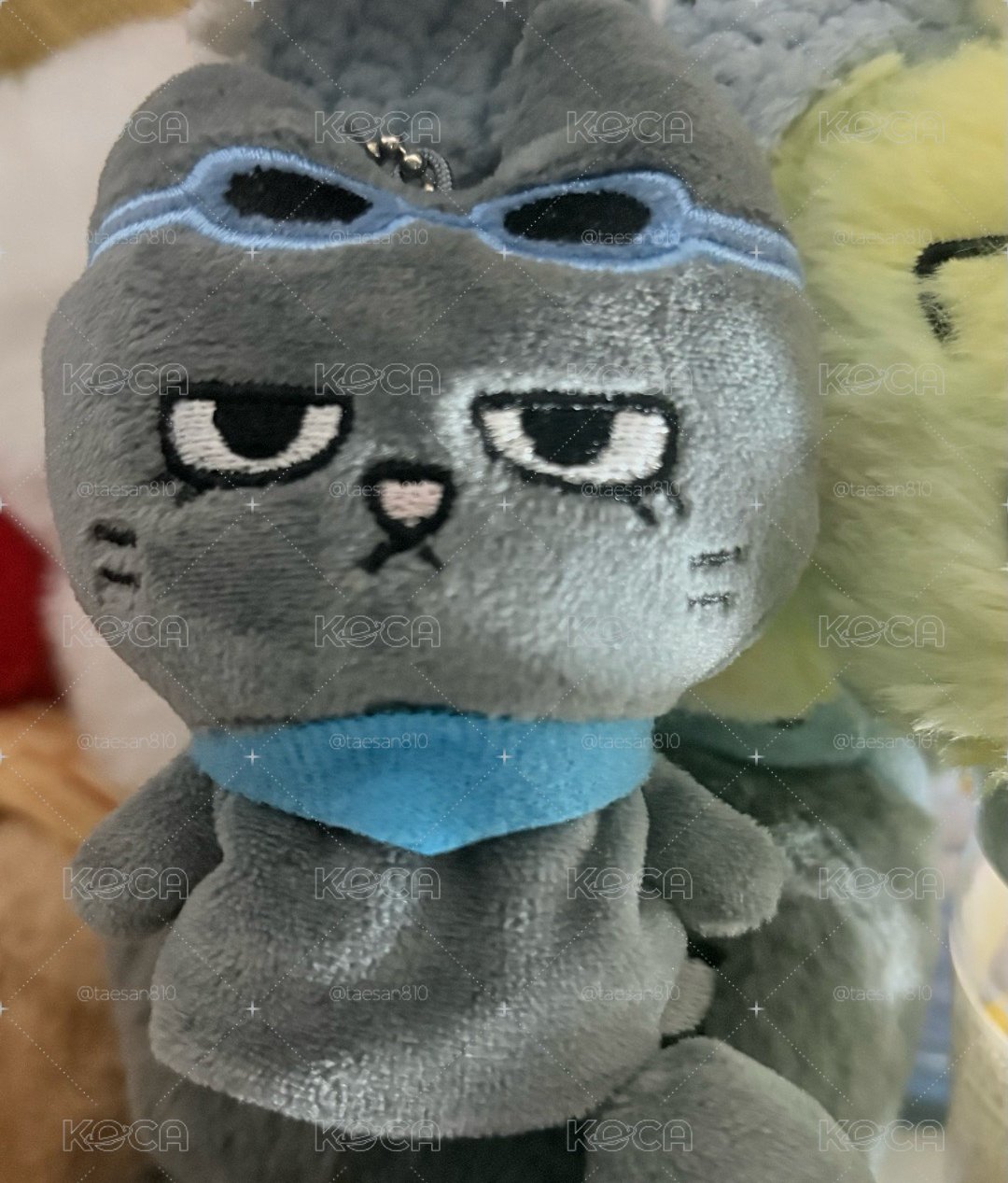 泰豐 指偶