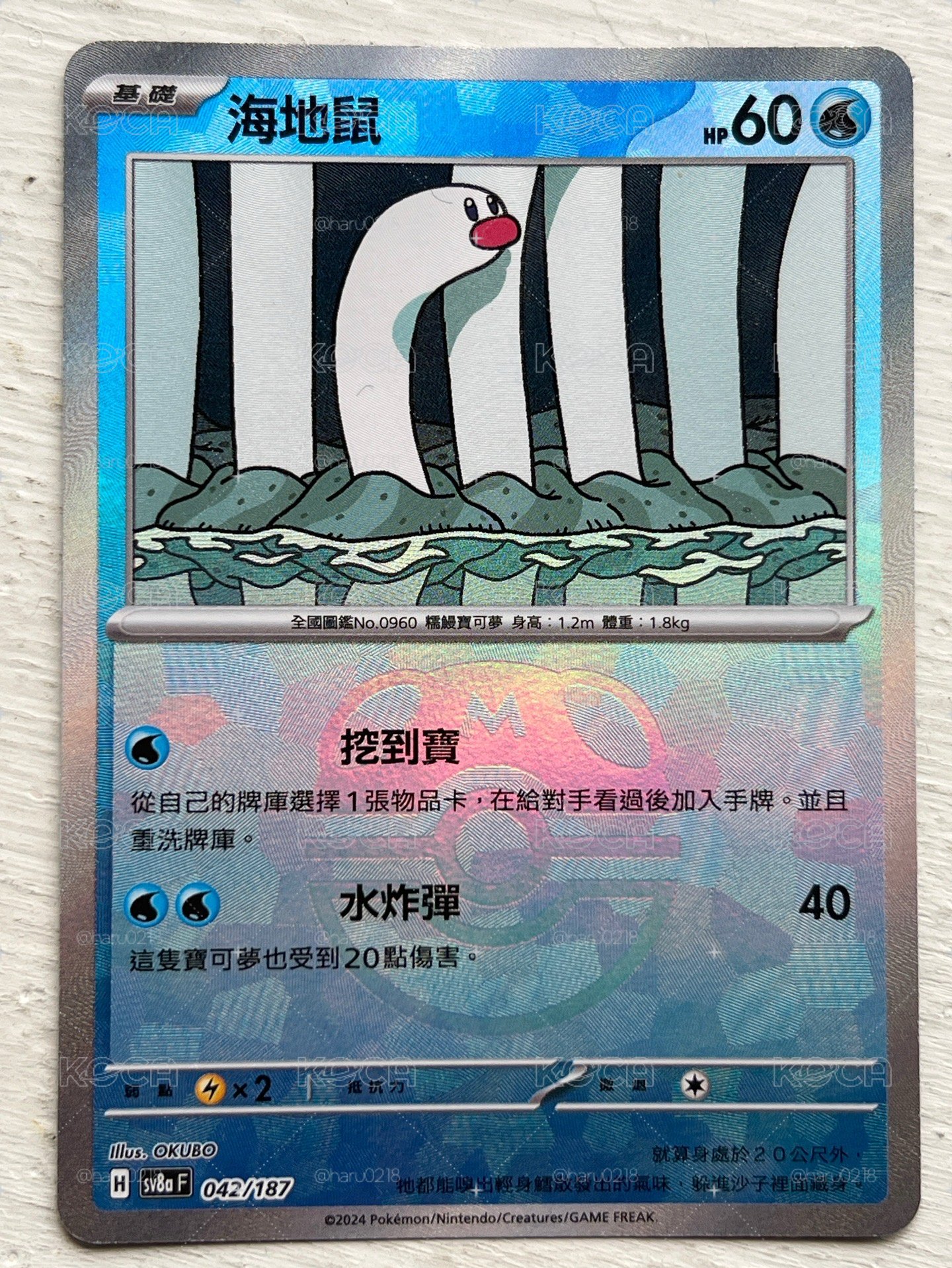 海地鼠