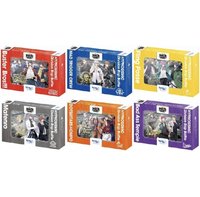 Bushiroad WSB 集換式卡牌