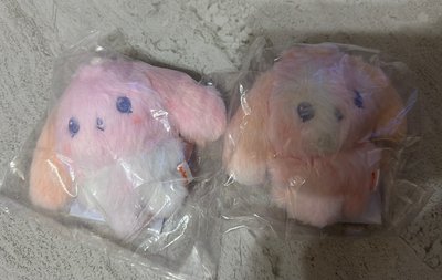 現貨✅［開立電子發票🧾］彩皮娃 HETmongi
