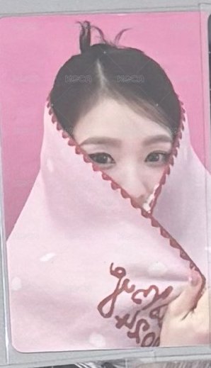 24聖誕姐
