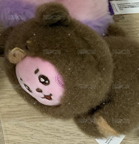 ck動物裝