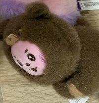 ck動物裝