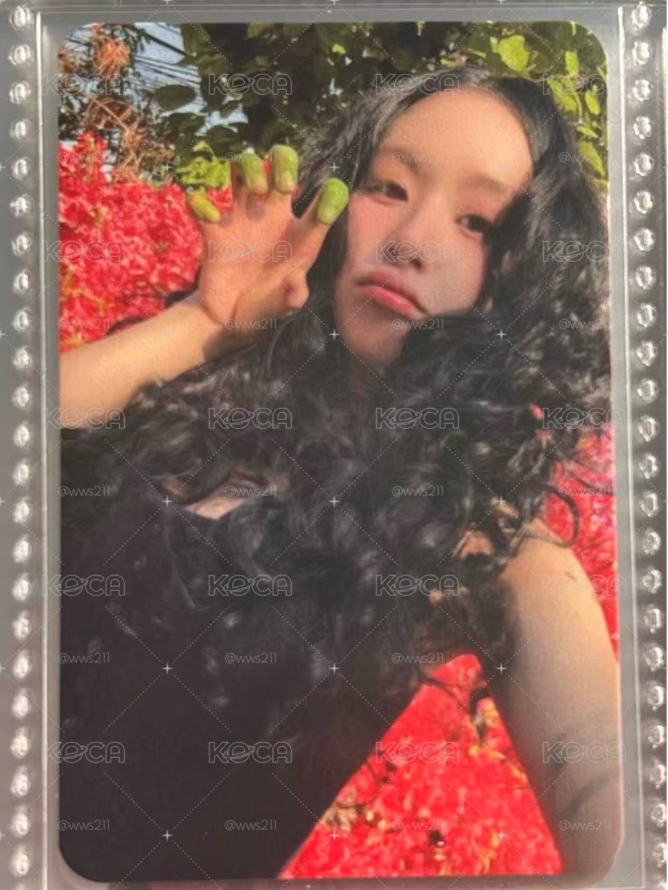 貓爪彩