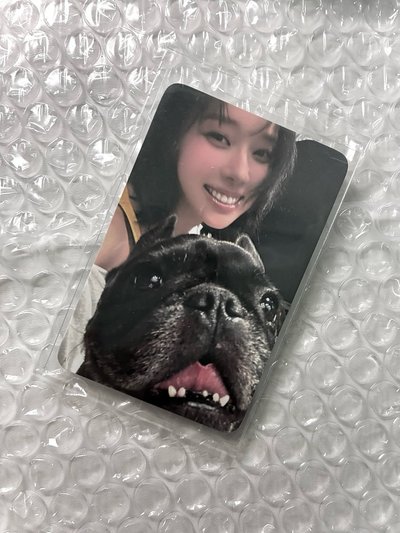 小狗冬 k4預售