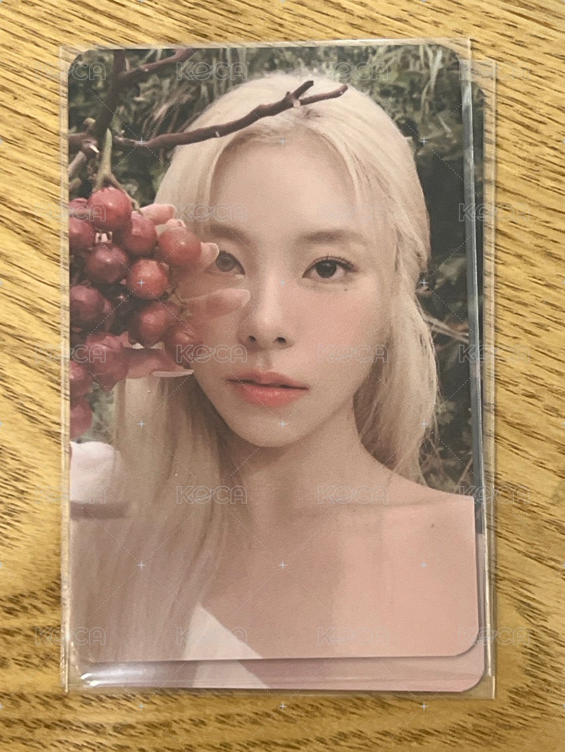 poca 01