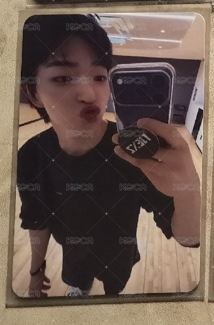 ⭐SAUCIN' Photo Pack專 固卡🐧