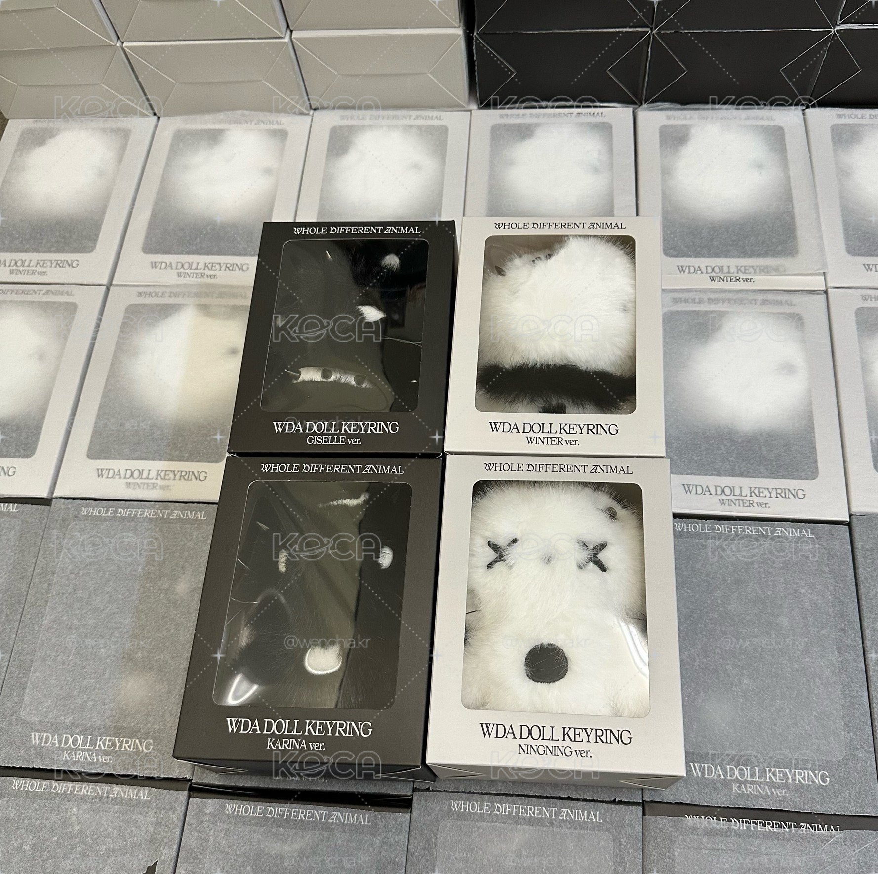 <現貨>Lemonade WDA娃