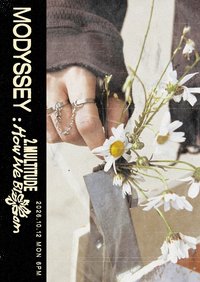𝟸.𝙼𝚞𝚕𝚝𝚒𝚝𝚞𝚍𝚎: 𝙷𝚘𝚠 𝚆𝚎 𝙱𝚕𝚘𝚘𝚖