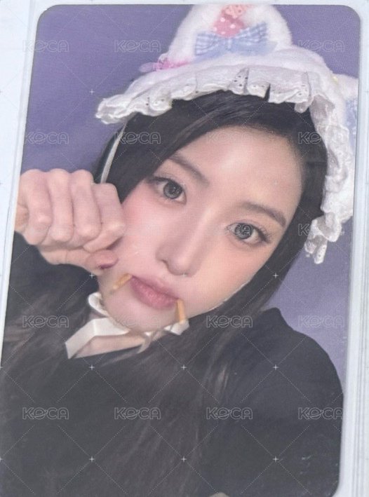 吸血鬼貓友
