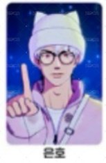 whosfan 銀虎