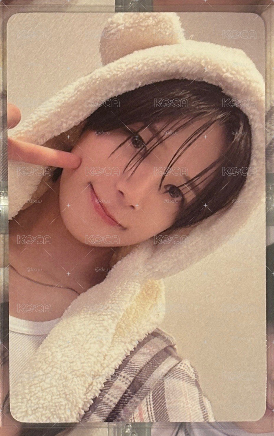&TEAM Yukiakari K環球動物卡