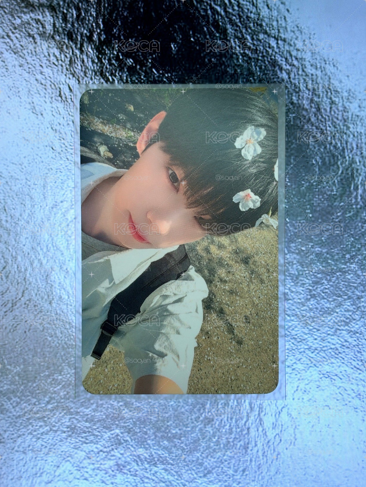 櫻花立于🌸
