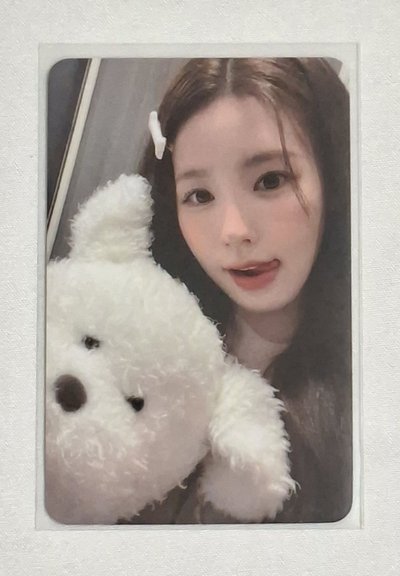 hl狗狗麵