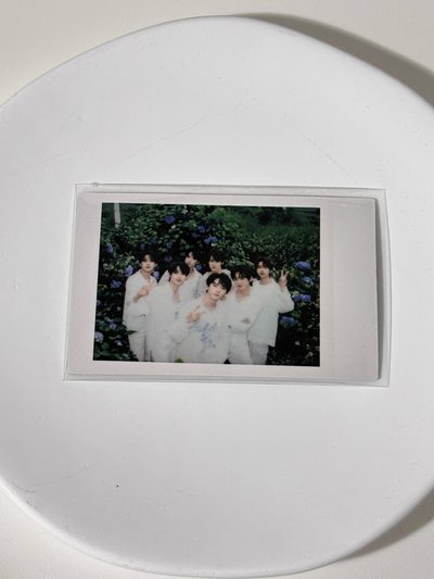團春日記憶