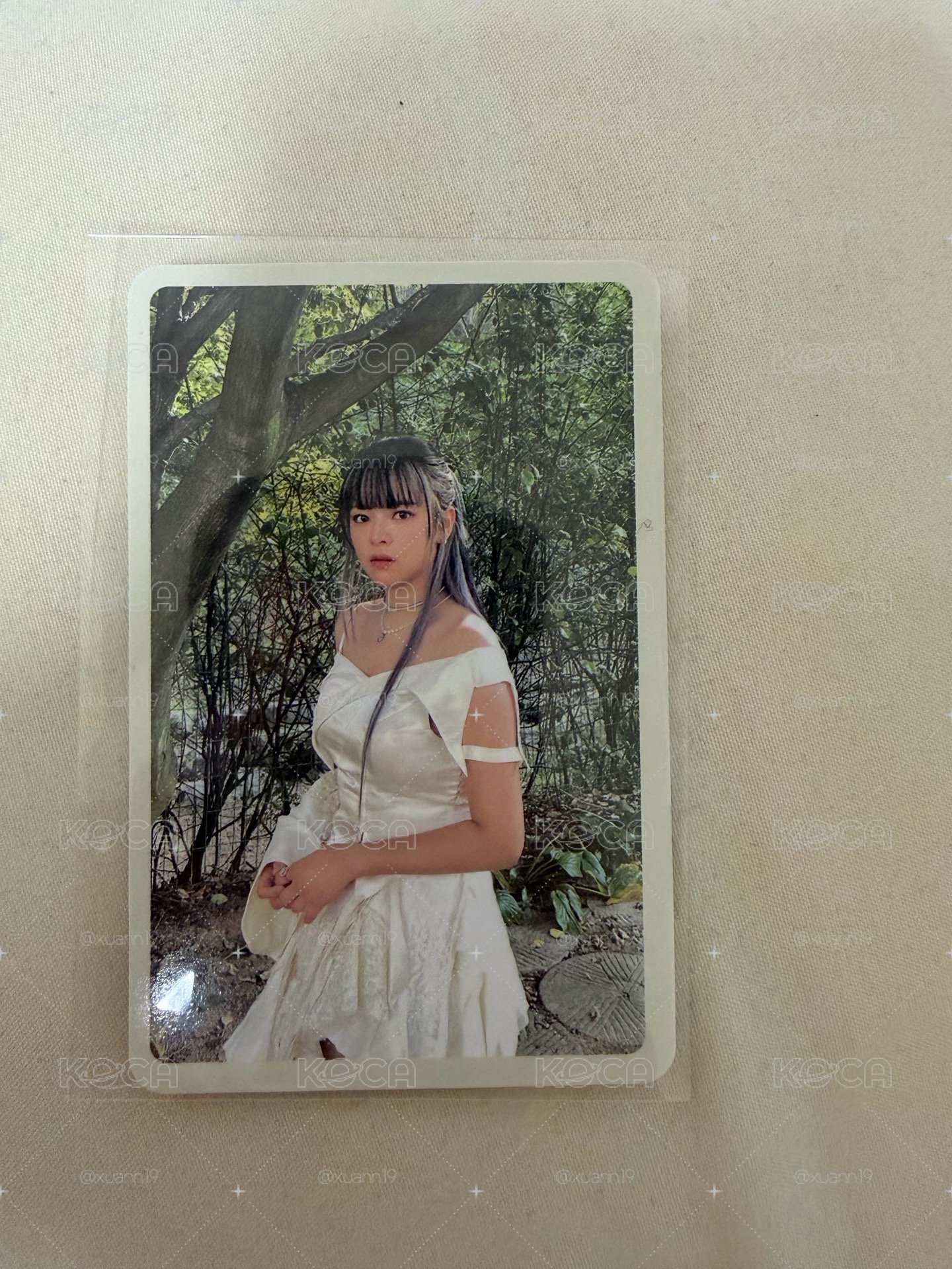 定延迷13 專輯卡 預售禮 Forever