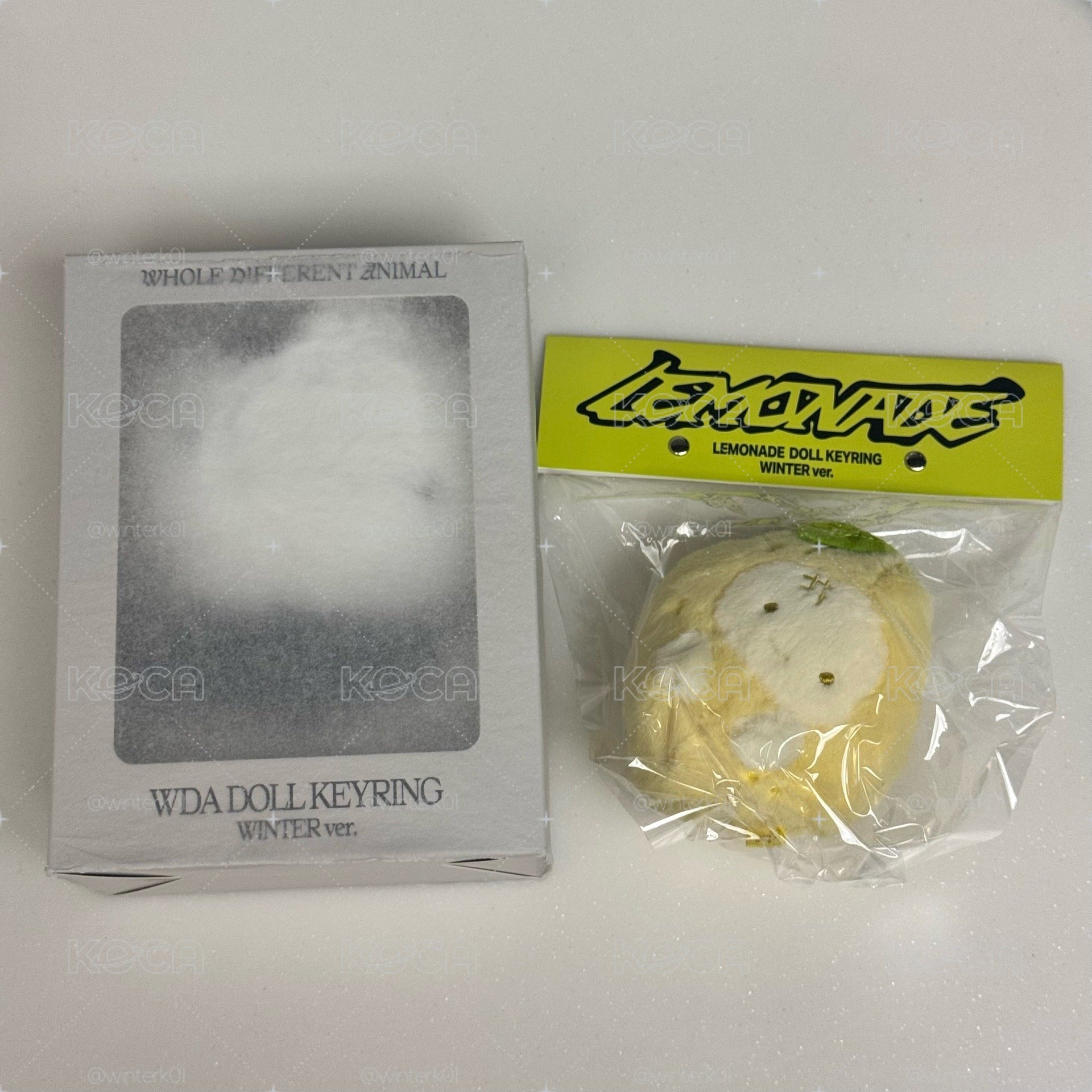 WDA冬娃+檸檬冬娃 拆售可私訊詢問24H出貨