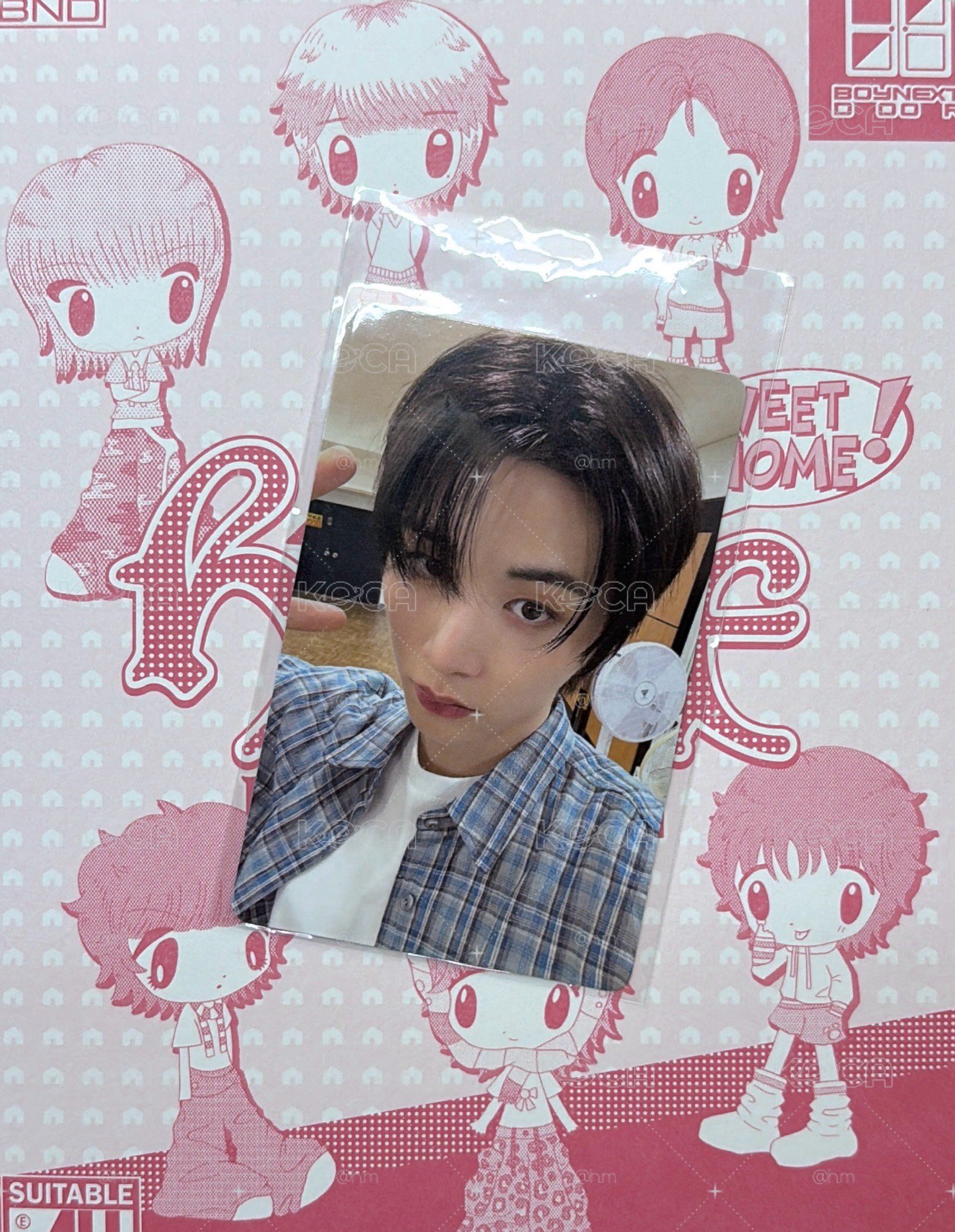 🌀BND HOME 特典 泰山