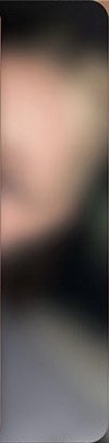 26’世巡 DVD 演唱會 DVD / CD 卡 