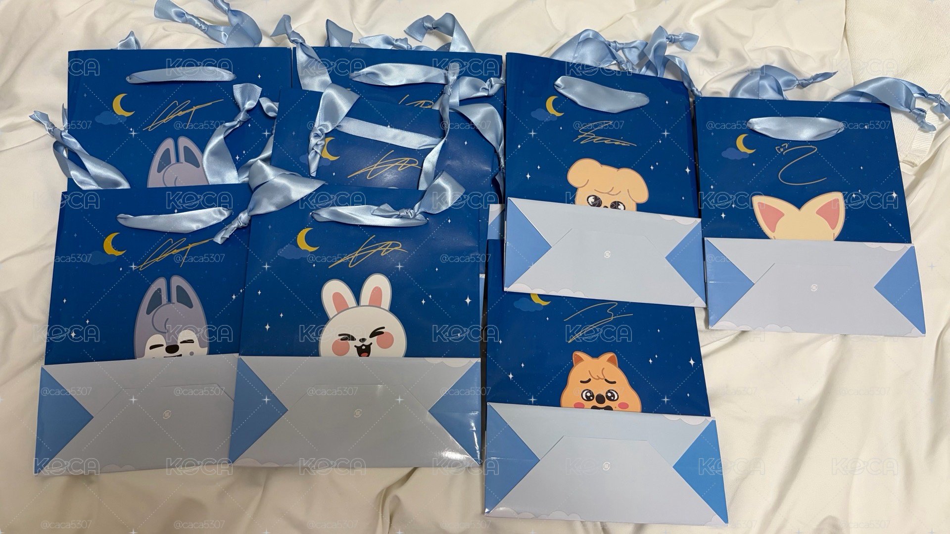 gigo紙袋大集合 燦 旻 城 玟 寅