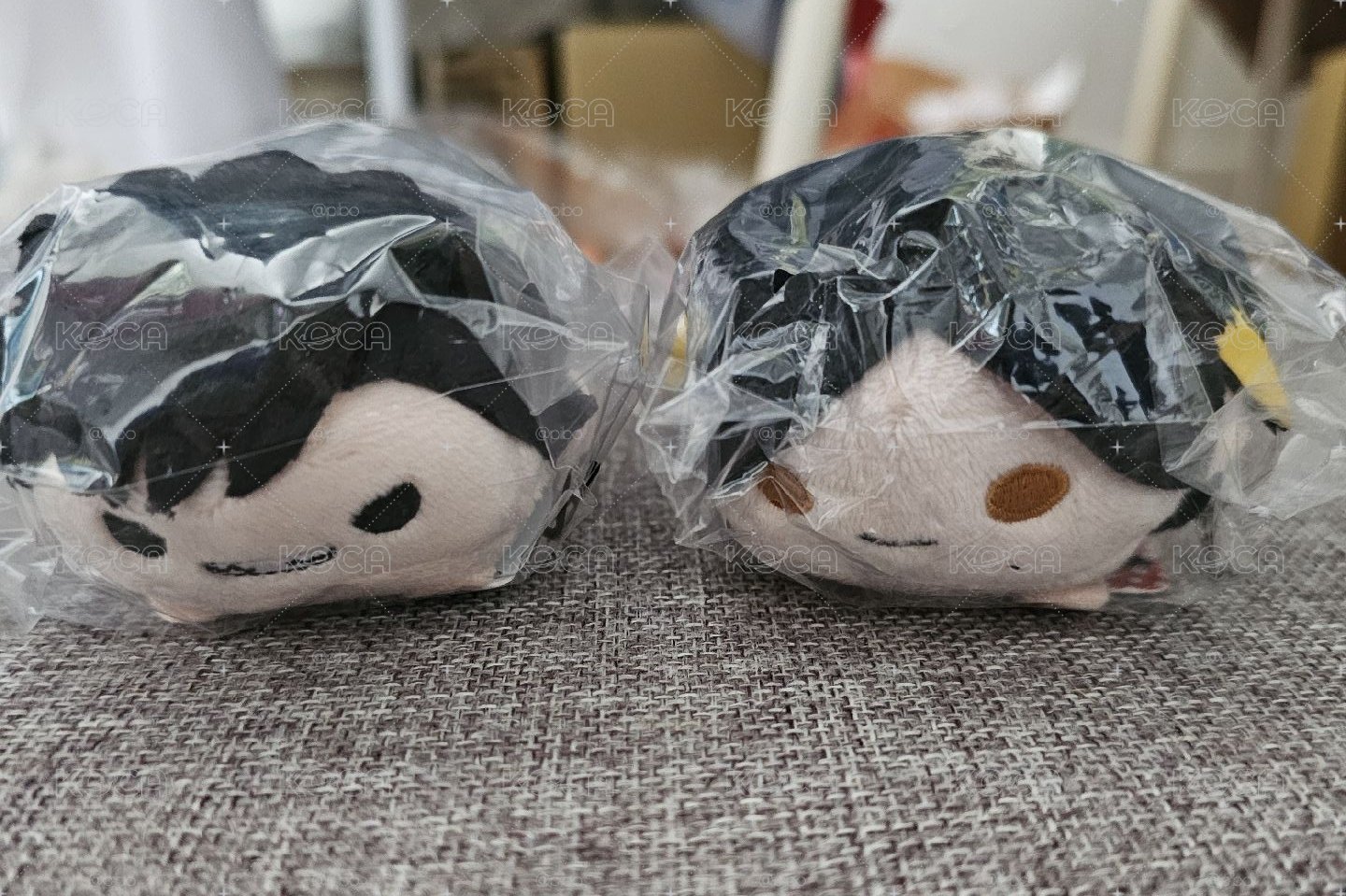 十周年 黑尾研磨