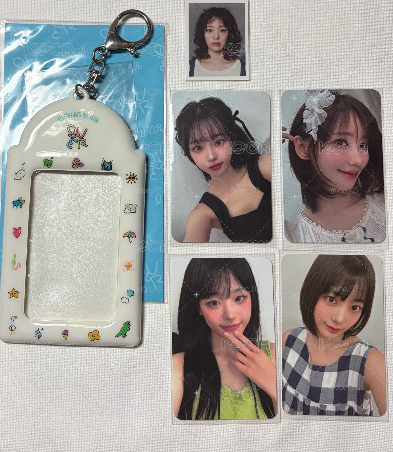 QWER 絕版卡套一組+燕證件照