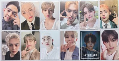 Seventeen 散卡 勝哲 區