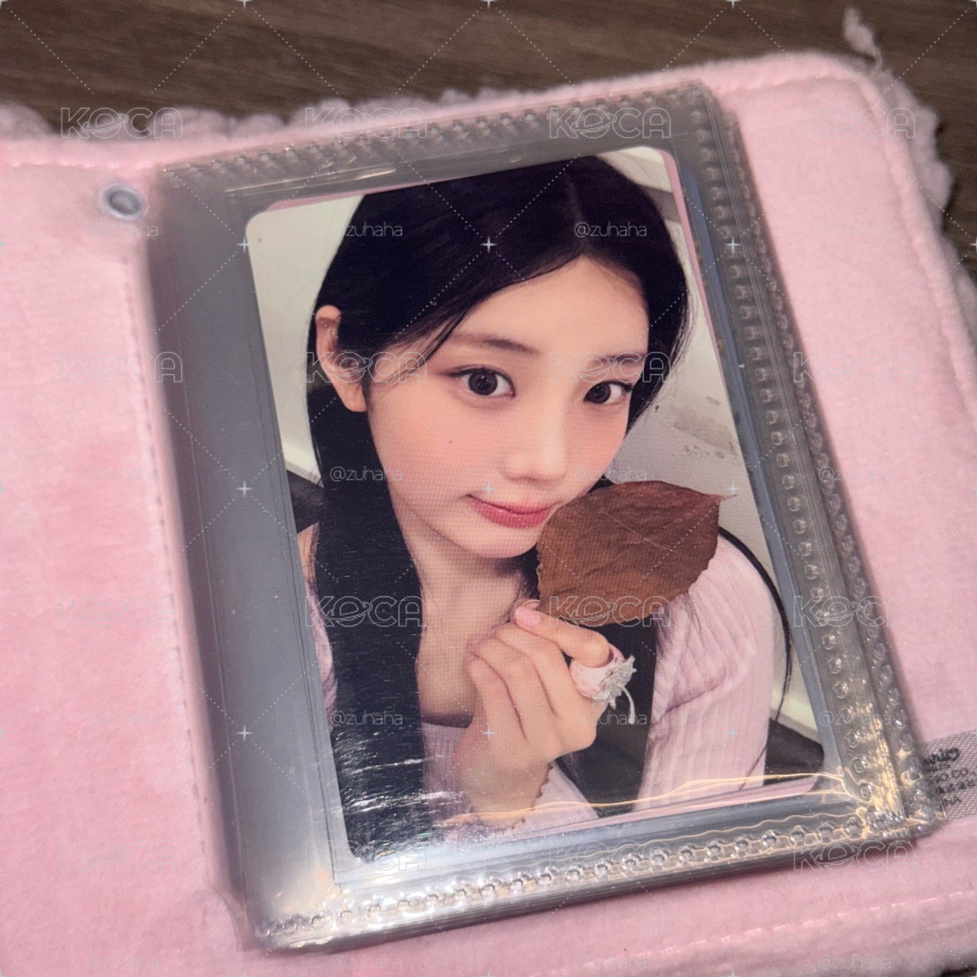 現貨 楓葉特典 禧