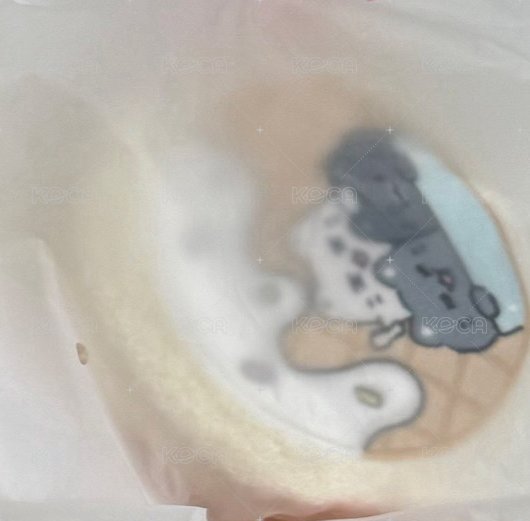 絨毛包 俊