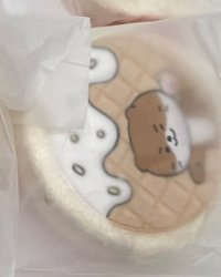 絨毛包 燦