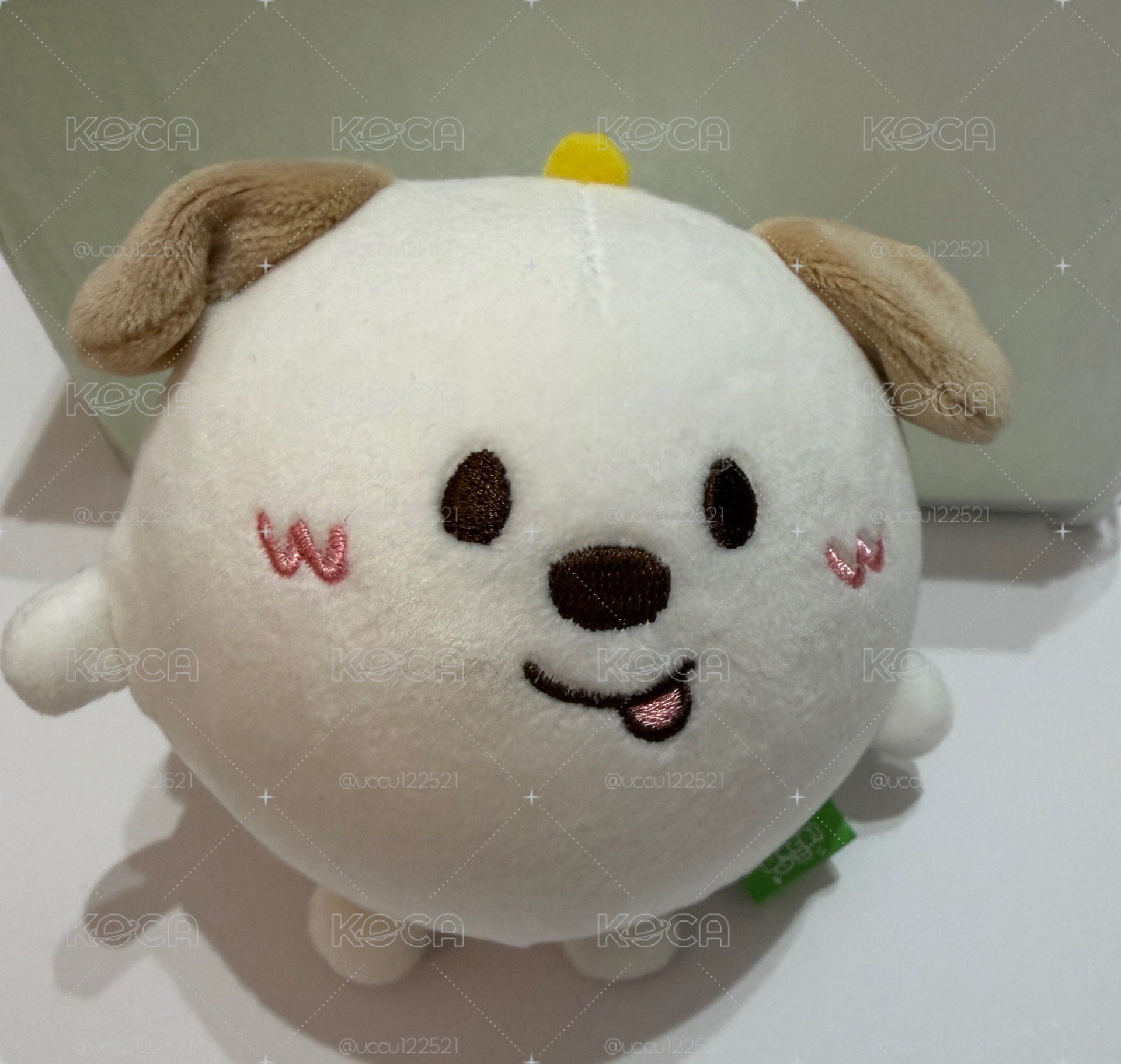 狗龍壓力球 現貨 有拆檢