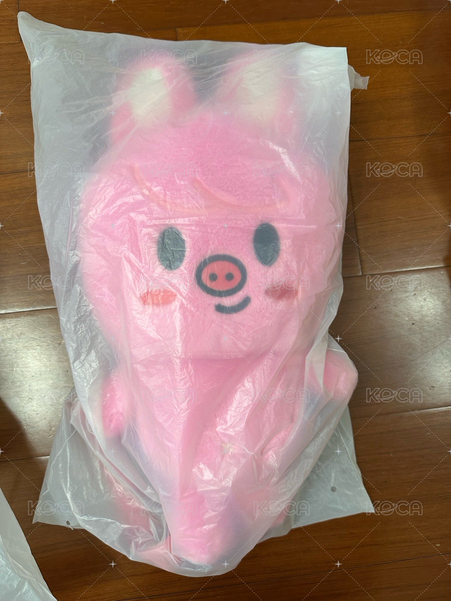 豬兔