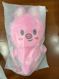 豬兔