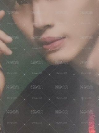 Win 2025 1月書展卡