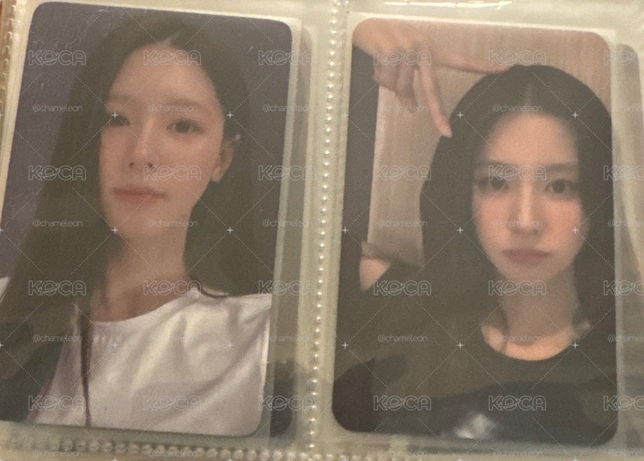 美美薇娟2張