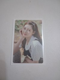 藍預售