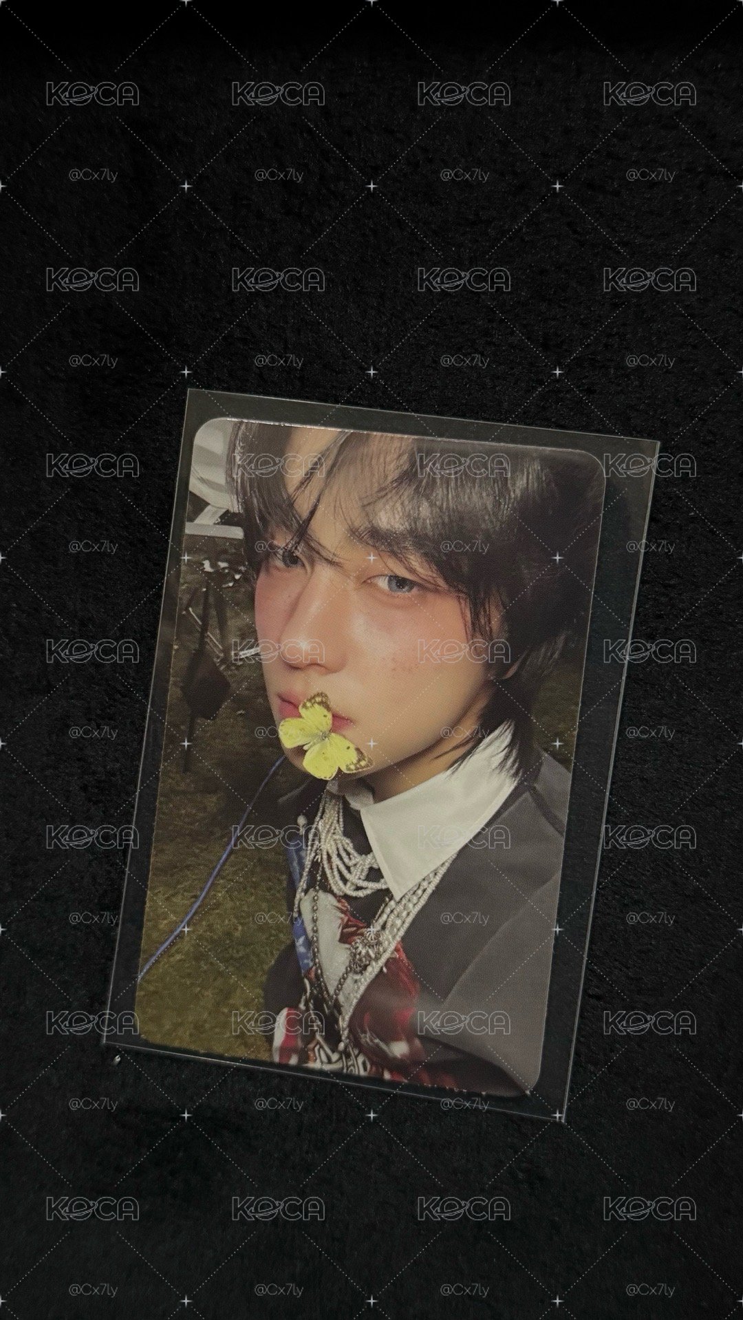 BTL 專輯卡 ROAR ver. B版