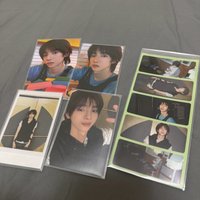 豬豬