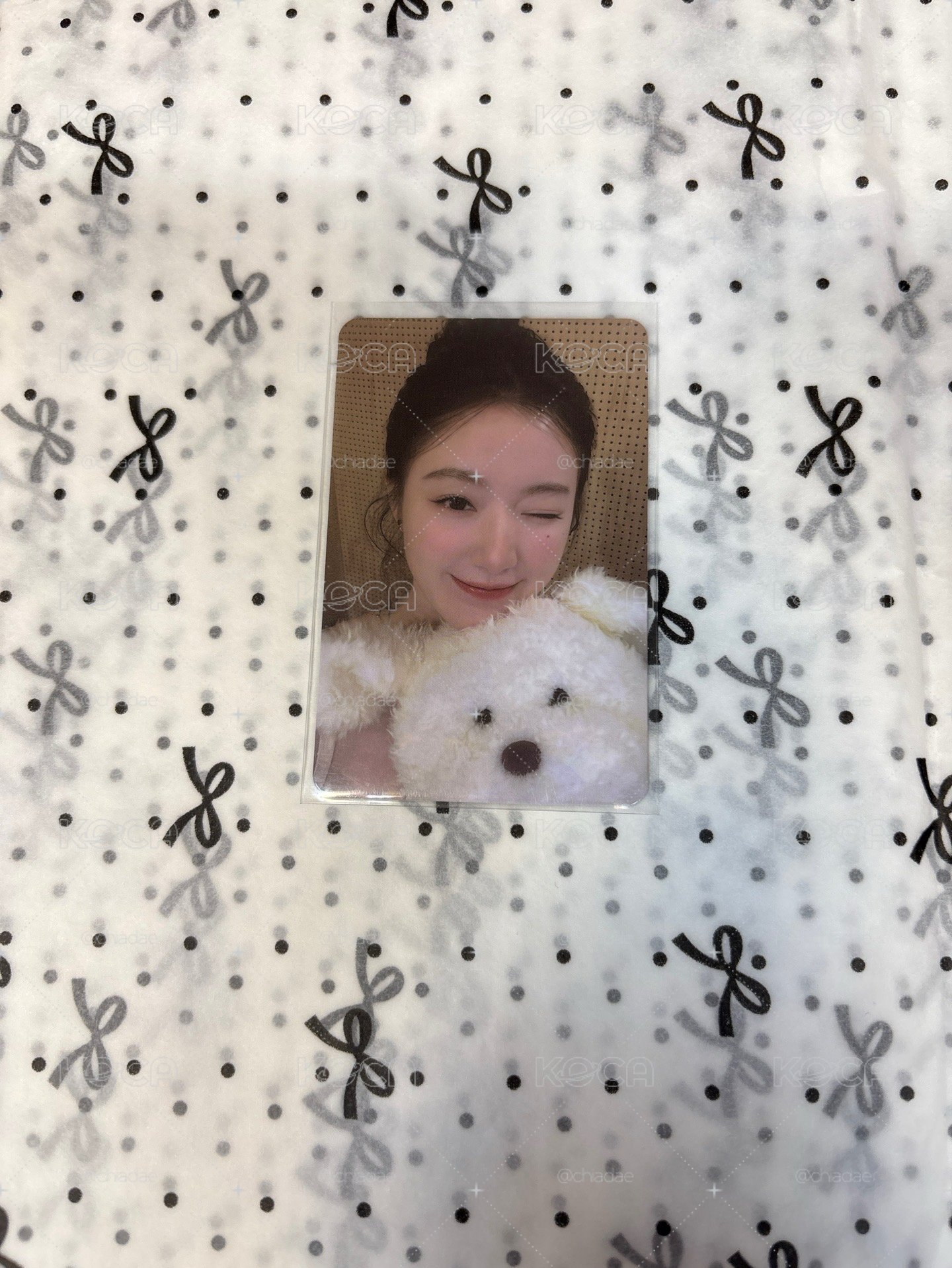 刷小狗