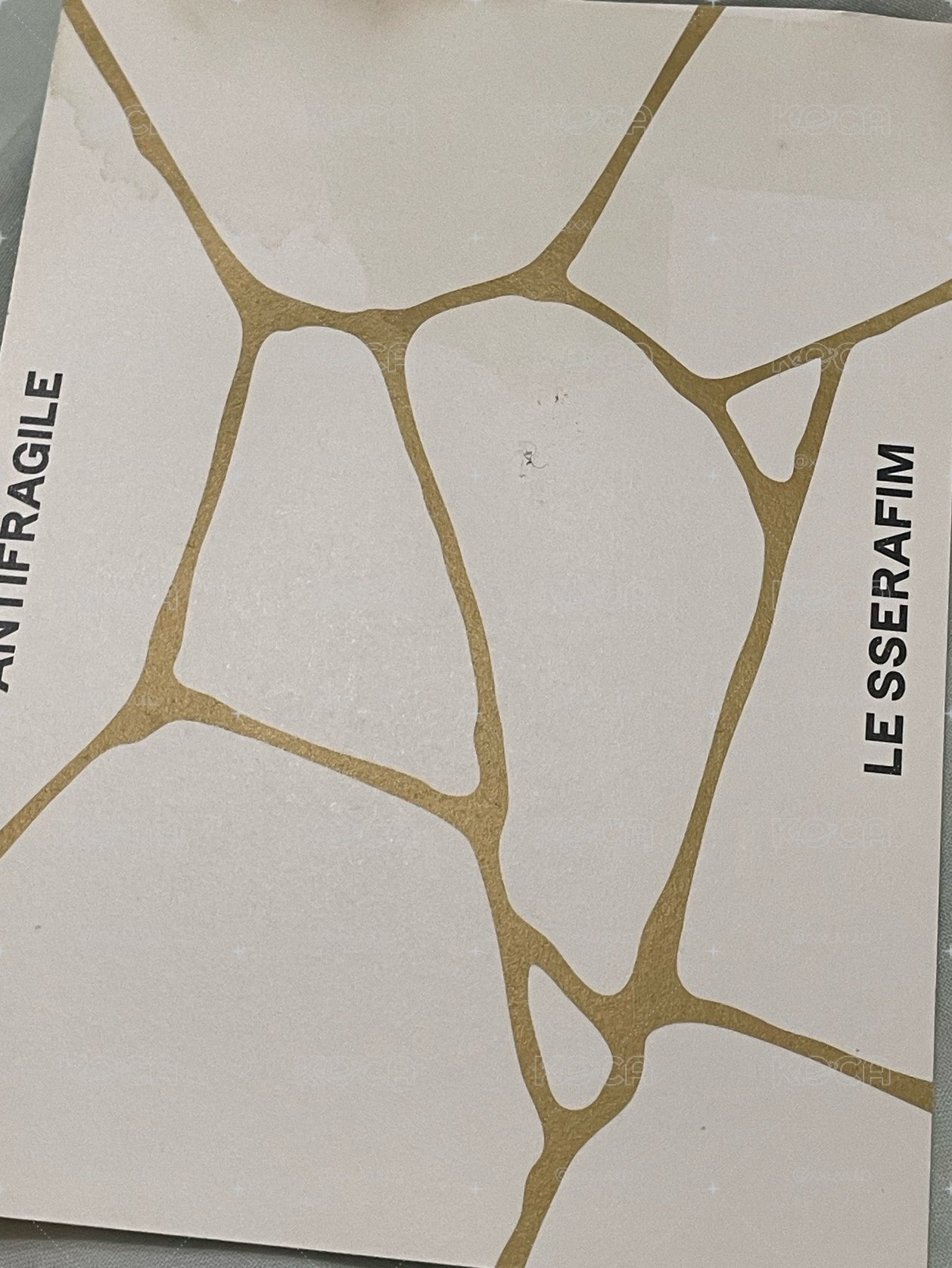 antifragile 明信片小瑕