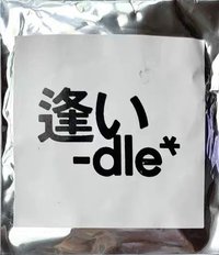2025日巡 未拆隨機款 徽章 