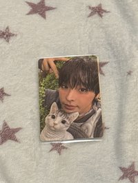 貓貓合照