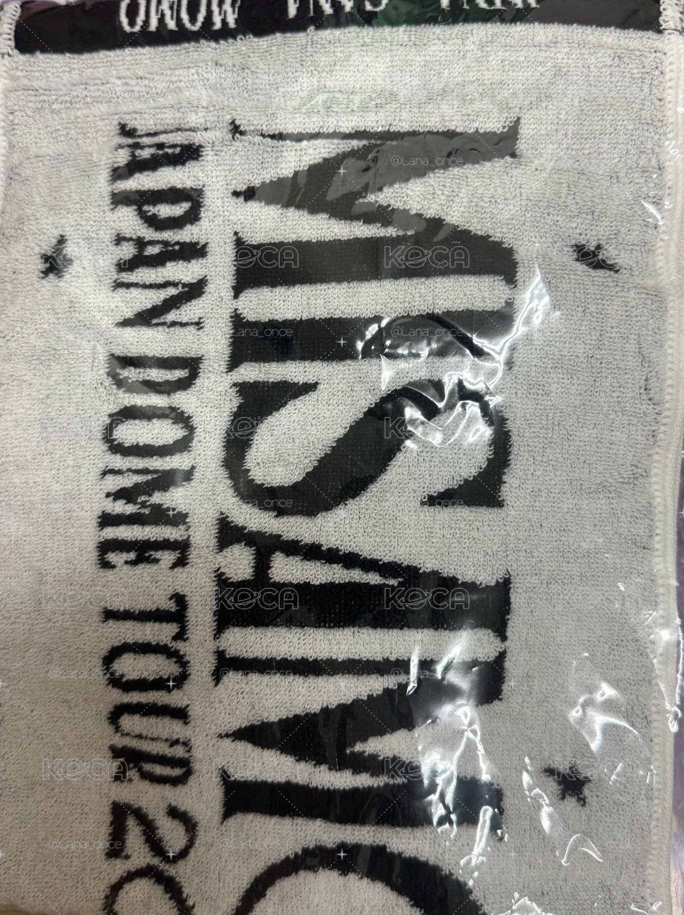 24蛋巡 毛巾 KANTO