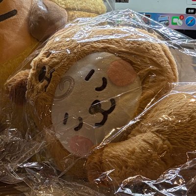 BT21 RJ矮袋鼠趴睡娃娃