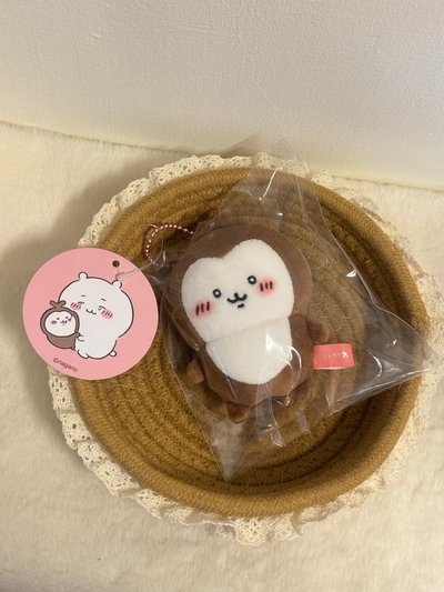 現貨.小甲蟲
