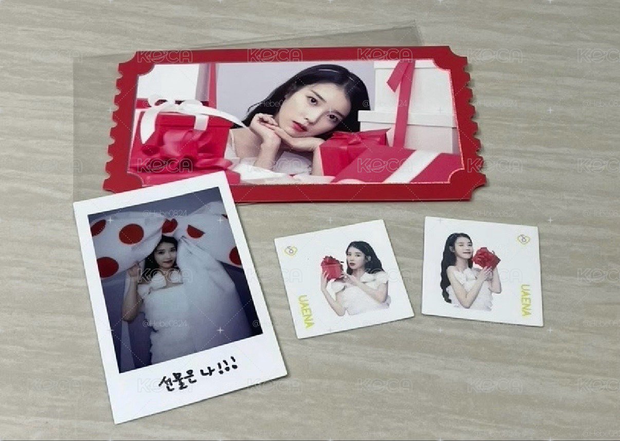 IU 李知恩 應援手燈特典