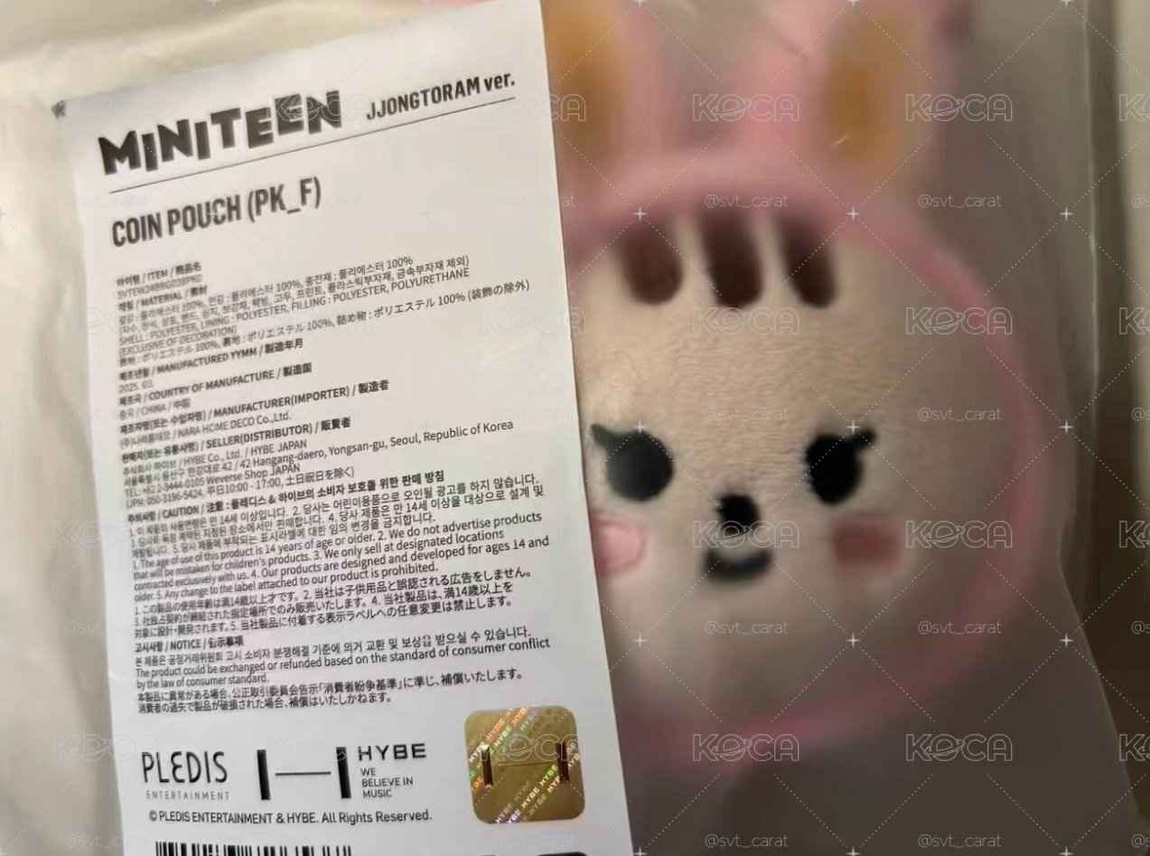 SEVENTEEN Coin Pouch Miniteen 淨漢 兔拉米零錢包 鑰匙圈吊飾