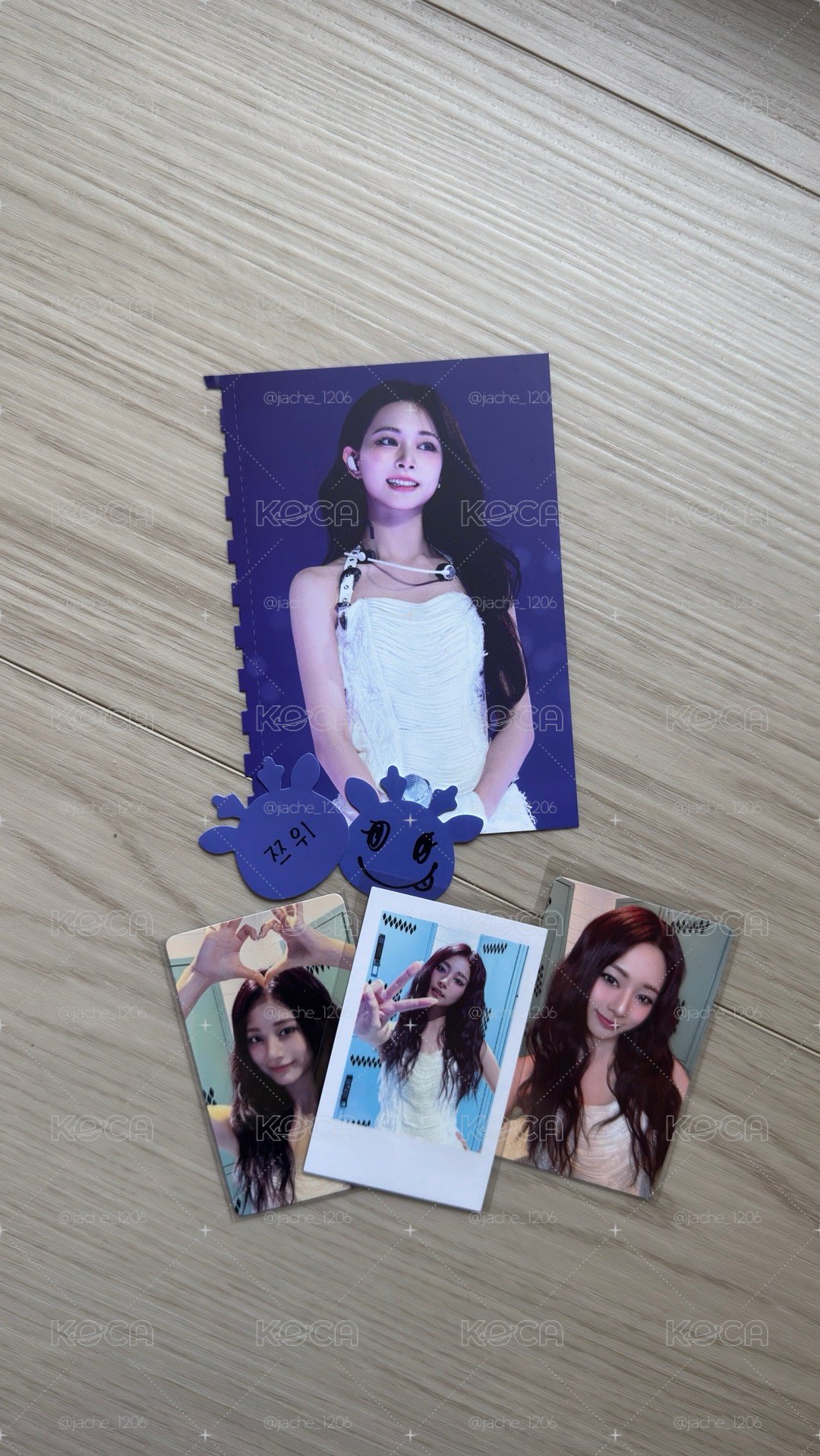 仁川DVD 子瑜set