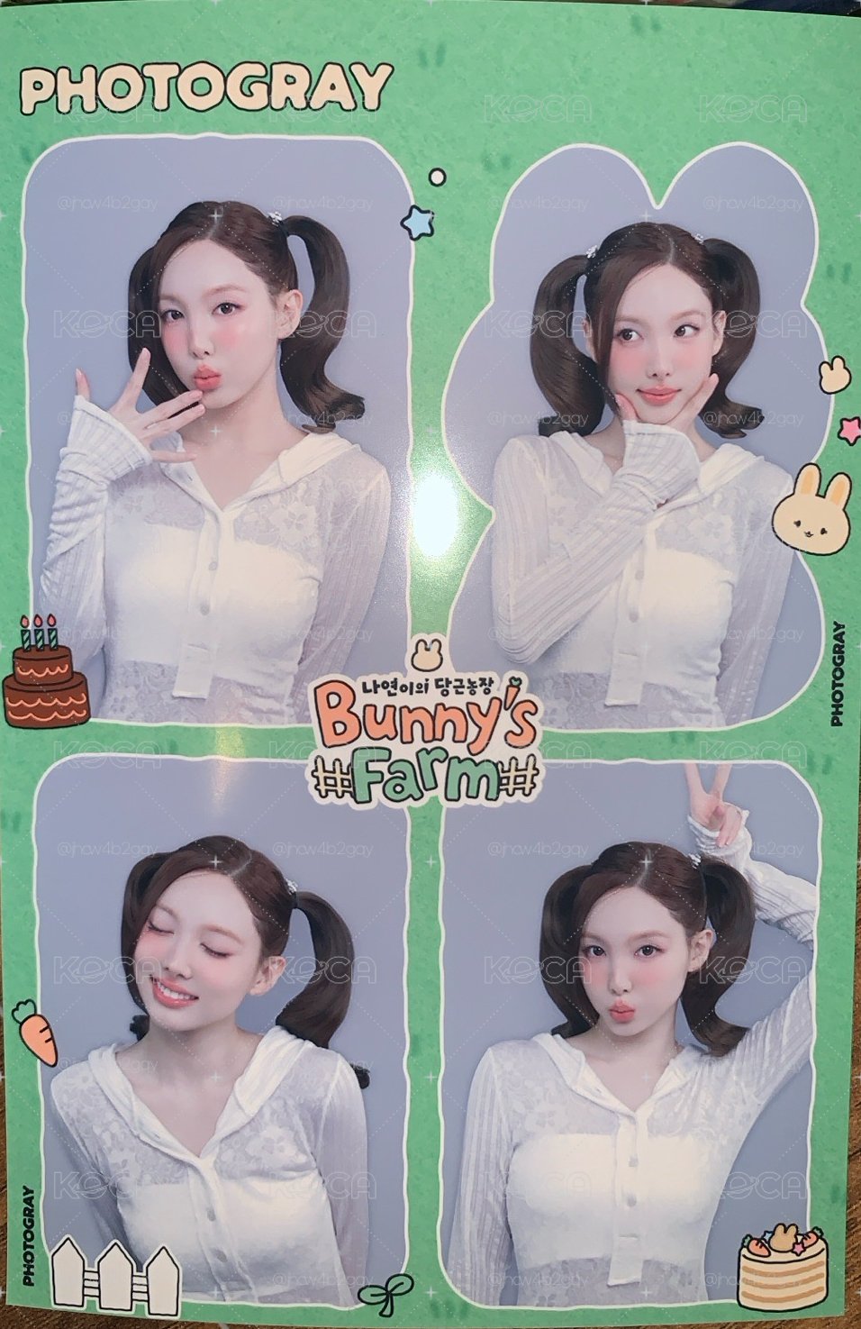 娜璉四格